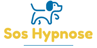 Sos Hypnose